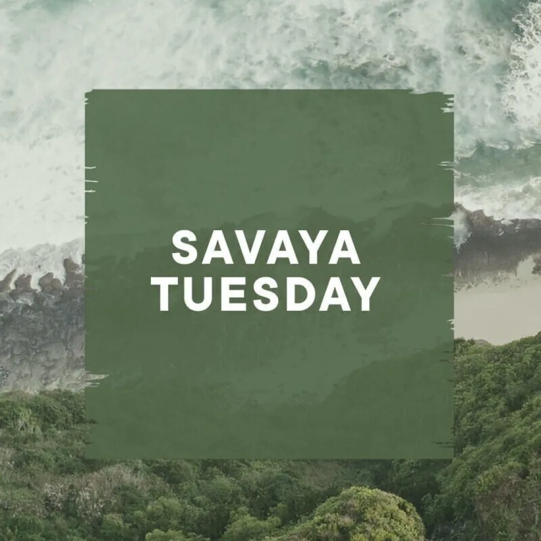 SAVAYA TUESDAY